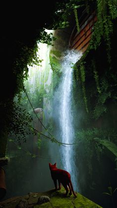 a red fox standing in front of a waterfall