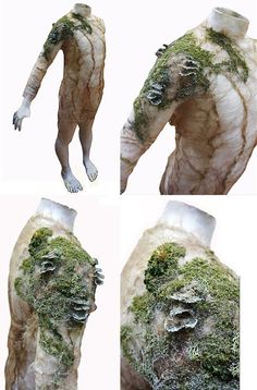 four different views of a human body with moss growing on it