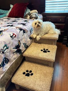 a white dog sitting on top of a set of stairs next to a bed with paw prints