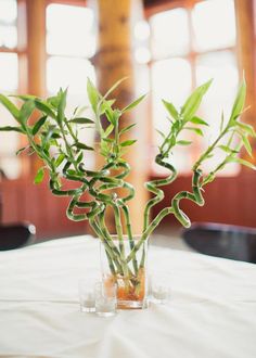 a vase filled with green plants sitting on top of a white tablecloth covered table