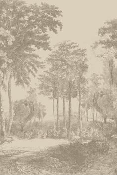 a drawing of trees and water in a wooded area