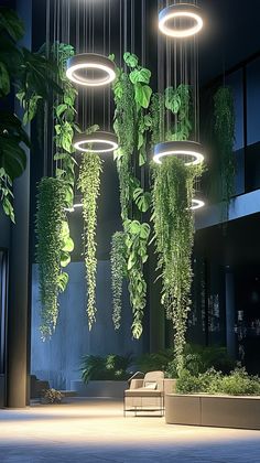 some plants are hanging from the ceiling in a room with chairs and lights above them