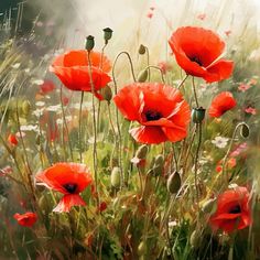 an oil painting of red poppies in a field