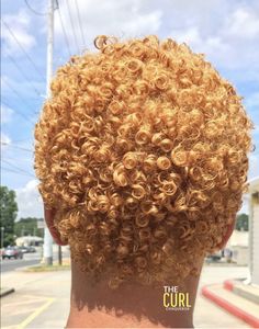 Voice Of Hair, Short Natural Curly Hair, Color Rubio, Natural Hair Cuts, Honey Brown Hair, Blonde Curls