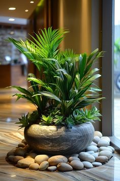 a potted plant sitting on top of a pile of rocks