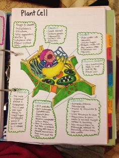 a plant cell is shown in an open notebook with notes about the structure and functions