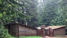 an old log cabin sits in the woods