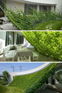 four different views of a house with plants growing on the outside and in the inside