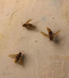 three bees sitting on top of a white wall