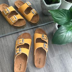 2 Band Sandal/Slides Color: Saffron Yellow Brand New, Comes In Original Packaging Prices Are Firm Comfortable Flat Yellow Sandals, Comfortable Yellow Flat Sandals, Comfortable Yellow Sandals With Cushioned Footbed, Comfortable Yellow Synthetic Sandals, Comfortable Yellow Beach Sandals, Comfortable Yellow Sandals For The Beach, Yellow Comfortable Slides For Spring, Trendy Yellow Slides For Summer, Yellow Slide Sandals For Summer