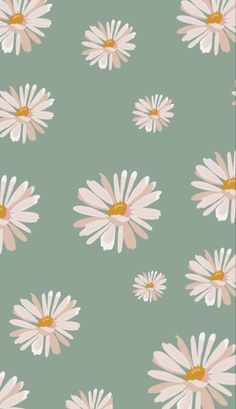 a green background with white daisies on it