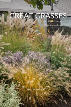 the front cover of great grasses