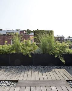 a wooden deck with plants and rocks on it