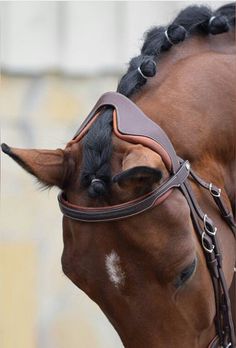 a brown horse with braids on its head