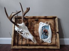 two deer skulls with antlers on display in a wooden frame, one has a photo and the other is fake