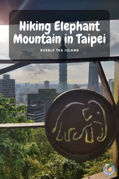 view of Taipei city from Elephant mountain Inland Taipan, Taipei Instagram Spots, Taroko Gorge Taiwan, Yehliu Geopark Taiwan, Elephant Mountain Taipei, Lush Forest