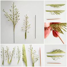 several different types of flowers and plants that are being used to make flower stems for crafts