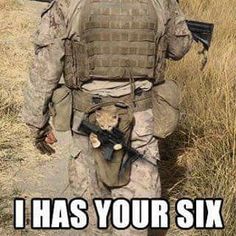 I has your six. Vojenský Humor, Celana Jogger Wanita, Military Jokes, Military Memes, Army Humor, Military Quotes, 밈 유머, Military Humor