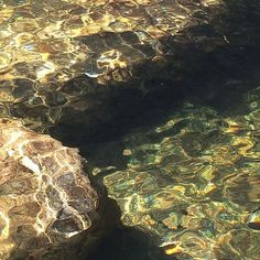 the water is crystal clear and reflecting sunlight