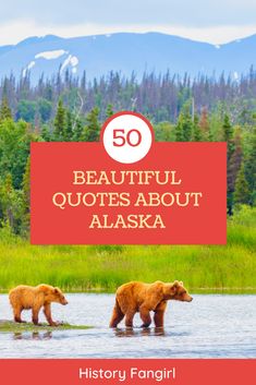 two brown bears walking across a river with the words, 50 beautiful quotes about alaska