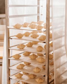 a rack filled with lots of uncooked bread