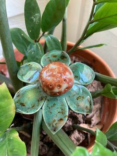 a potted plant with green leaves and a rusted flower on the top one