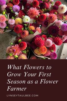 colorful flowers with the words what flowers to grow your first season as a flower farmer