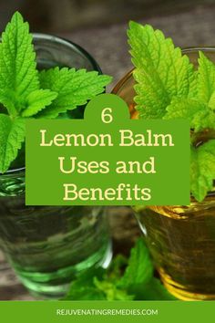 lemon balm uses and benefits