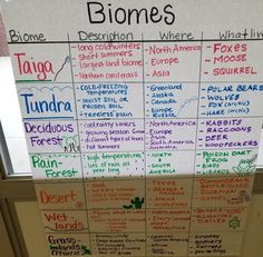 a bulletin board with different types of biomes written on it and labeled in various languages