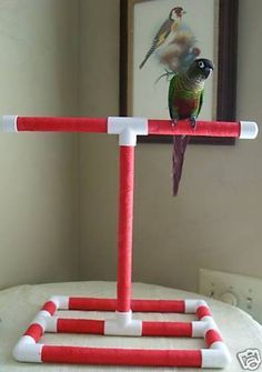 a bird sitting on top of a red and white pole in front of a mirror