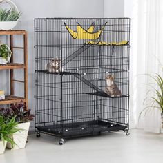 two cats sitting on top of a metal cage