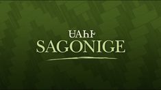 the words sagonge are written in green and white letters on a dark green background