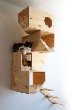 a cat sitting on top of a wooden bird house