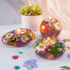 three glass vases with flowers painted on them sitting next to a potted plant