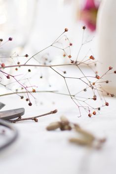 a close up of scissors and flowers on a table