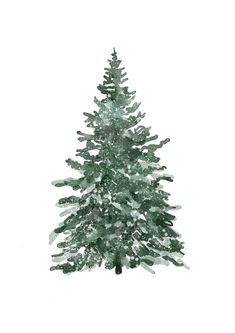 a green christmas tree with snow on the top and bottom branches, in front of a white background