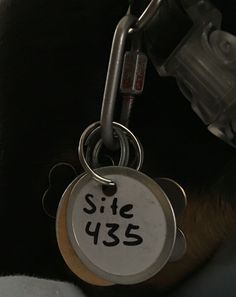 a close up of a dog's collar with a tag on it that says site 435