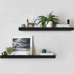 two black shelves with plants and pictures on them