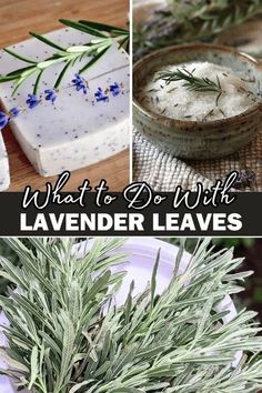 what to do with lavender leaves and how to use them in soaps, candles, etc