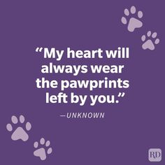 a purple background with white paw prints and the words, my heart will always wear the pawprints left by you unknown