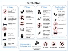 the birth plan is shown with instructions on how to use it