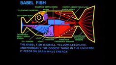 an image of a fish on a screen with words describing the different types of fishes