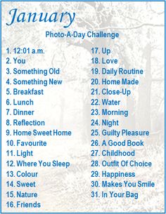 the january photo - a - day challenge is shown in this blue and white poster