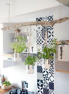 some plants are hanging from the ceiling in a kitchen with black and white tiles on the walls