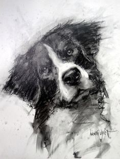 a black and white drawing of a dog with his head tilted to the side, looking straight ahead