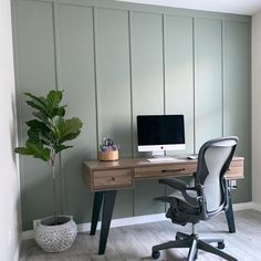 a desk with a computer on it and a plant next to it in the corner