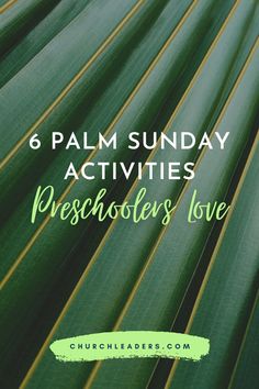 palm leaves with the words 6 palm sunday activities preschoolers love