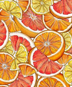 a drawing of oranges and grapefruits cut in half