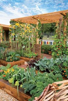 a garden with lots of different types of plants