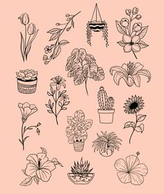 various flowers and plants are drawn in black ink on a light pink background with the words,